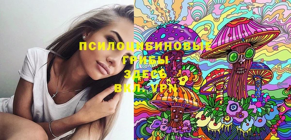 спайс Кинешма