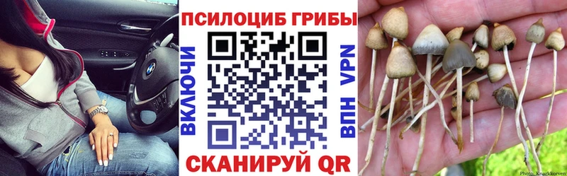 Псилоцибиновые грибы MAGIC MUSHROOMS  Купить закладки  Липецк 